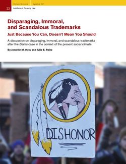 Disparaging, Immoral, and Scandalous Trademarks