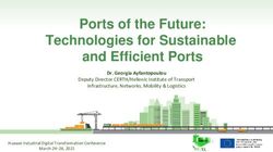 Ports of the Future: Technologies for Sustainable and Efficient Ports