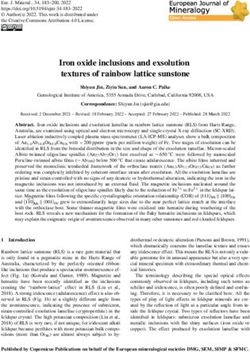 Iron oxide inclusions and exsolution textures of rainbow lattice sunstone