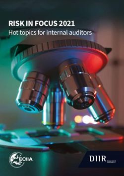 RISK IN FOCUS 2021 Hot topics for internal auditors - Deutsches Institut für Interne Revision