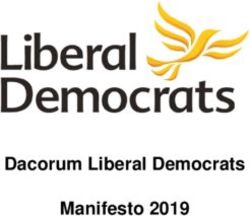 Dacorum Liberal Democrats Manifesto 2019 - Tring & Berkhamsted ...
