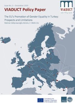 VIADUCT Policy Paper The EU's Promotion of Gender Equality in Turkey: Prospects and Limitations