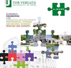 A.y. 2018-2019 - Tor Vergata University of Rome