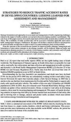 STRATEGIES TO REDUCE TRAFFIC ACCIDENT RATES IN DEVELOPING COUNTRIES: LESSONS LEARNED FOR ASSESSMENT AND MANAGEMENT
