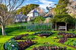 NEW ZEALAND GARDEN CRUISE TO - YOU ARE INVITED TO JOIN SUE MCDOUGALL - TRAVELRITE