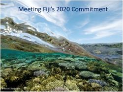 Meeting Fiji's 2020 Commitment - Keith Ellenbogen - MACBIO