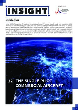 12 THE SINGLE PILOT - Aerospace Technology ...