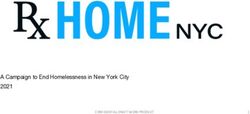 A Campaign to End Homelessness in New York City 2021 - CONFIDENTIAL DRAFT WORK PRODUCT