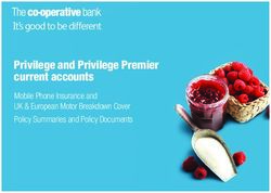 Privilege and Privilege Premier current accounts - Mobile Phone Insurance and UK & European Motor Breakdown Cover Policy Summaries and Policy ...