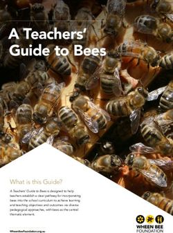 A Teachers' Guide To Bees - What Is This Guide? - The Wheen Bee Foundation