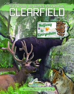 CLEARFIELD 2017-2018 MORE THAN - CLEARFIELD COUNTY