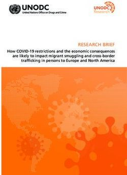 RESEARCH BRIEF - United Nations Office on Drugs and Crime