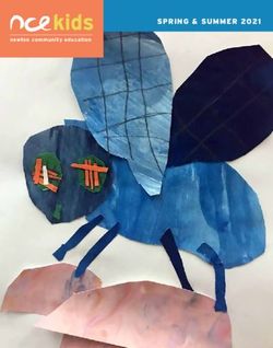 Spring & Summer 2021 newton community education