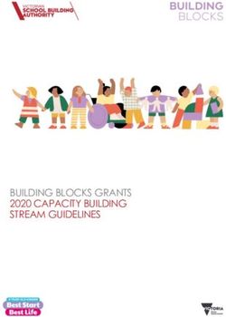 BUILDING BLOCKS GRANTS 2020 CAPACITY BUILDING STREAM GUIDELINES