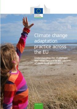Climate change adaptation practice across the EU - Understanding the challenges and ways forward in the context of multi-level governance