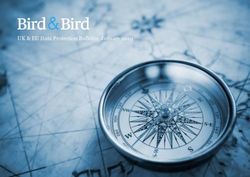 UK & EU Data Protection Bulletin: January 2019 - Bird & Bird