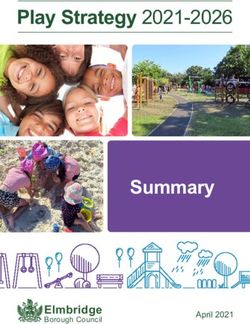 Play Strategy 2021-2026 - Summary - Elmbridge
