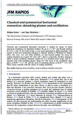 Classical and symmetrical horizontal convection: detaching plumes and oscillations