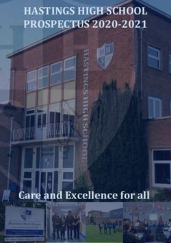 HASTINGS HIGH SCHOOL PROSPECTUS 2020-2021 - Care and Excellence for all