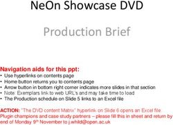 NEON SHOWCASE DVD PRODUCTION BRIEF