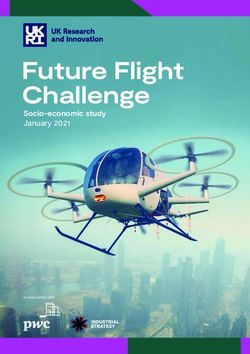 FUTURE FLIGHT CHALLENGE - SOCIO-ECONOMIC STUDY JANUARY 2021 - PWC UK