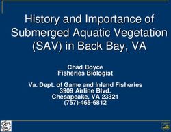 History and Importance of Submerged Aquatic Vegetation (SAV) in Back Bay, VA - Chad Boyce Fisheries Biologist Va. Dept. of Game and Inland ...