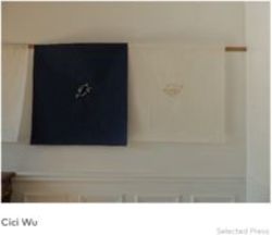 Cici Wu Selected Press - Empty Gallery