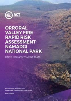 ORRORAL VALLEY FIRE RAPID RISK ASSESSMENT NAMADGI NATIONAL PARK - RAPID RISK ASSESSMENT TEAM
