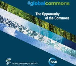 The Opportunity of the Commons - UN CC:Learn