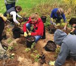 The North Tonawanda Sustainable Community Program - A Visionary Partnership