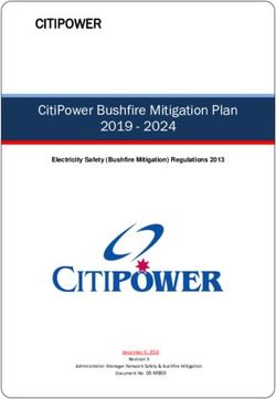 CITIPOWER CitiPower Bushfire Mitigation Plan 2019 2024 - Electricity Safety (Bushfire Mitigation) Regulations 2013 - Powercor
