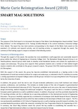 SMART MAG SOLUTIONS Marie Curie Reintegration Award (2010) - Europa EU