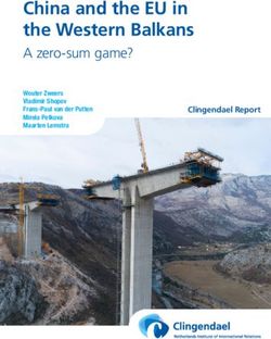 China and the EU in the Western Balkans - A zero-sum game? Clingendael Report - Clingendael Institute