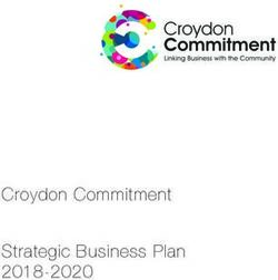 Croydon Commitment Strategic Business Plan 2018-2020
