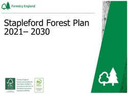 Stapleford Forest Plan - Forest Plan 2019 to 2028