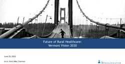 Future of Rural Healthcare: Vermont Vision 2030 - June 23, 2021 Eric K. Shell, MBA, Chairman - Green ...