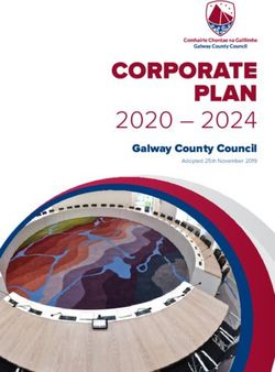2020 2024 CORPORATE PLAN - Galway County Council - Galway County PPN