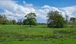 Old Hall Farm Burgh next AylshAm, norfolk - Savills