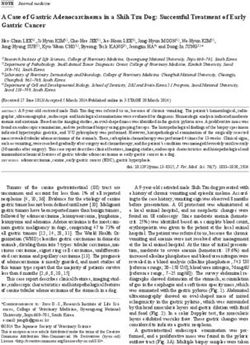 A Case of Gastric Adenocarcinoma in a Shih Tzu Dog: Successful Treatment of Early Gastric Cancer