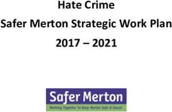 Hate Crime Safer Merton Strategic Work Plan 2017 2021