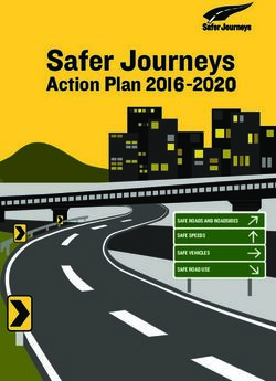 Safer Journeys Action Plan 20l6-2020 - SAFE ROADS AND ROADSIDES SAFE ROADS AND ROADSIDES SAFE SPEEDS SAFE SPEEDS