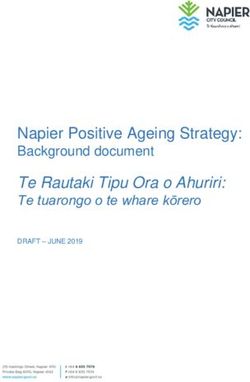 Napier Positive Ageing Strategy: Background document Te Rautaki Tipu Ora o Ahuriri: Say It Napier