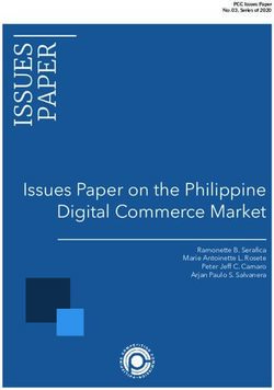 Issues Paper on the Philippine Digital Commerce Market - Ramonette B. Serafica Marie Antoinette L. Rosete Peter Jeff C. Camaro Arjan Paulo S ...