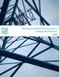 Northeastern Regional Assessment of Strategic Electrification - July 2017