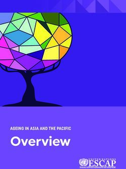 Overview AGEING IN ASIA AND THE PACIFIC - Third regional ...