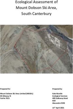 Ecological Assessment of Mount Dobson Ski Area, South Canterbury - Prepared for Mount Dobson Ski Area Limited (MDSAL) 30 Alloway St Fairlie 7925