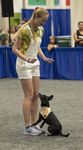 NACDA NEWS - Nasa Area Dog Fanciers Association