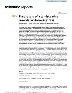 First record of a tomistomine crocodylian from Australia - Nature