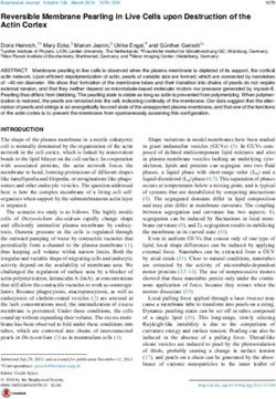 Reversible Membrane Pearling in Live Cells upon Destruction of the Actin Cortex - Core