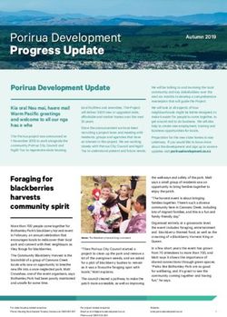 Progress Update Porirua Development